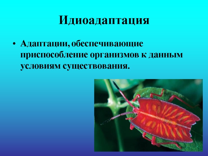 Идиоадаптация Адаптации, обеспечивающие приспособление организмов к данным условиям существования.